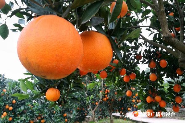 引资金活水 促水清岸绿（财经故事）