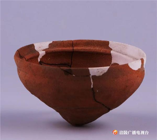 千万别眨眼，否则你将错过人类史上的惊鸿一瞥┃涪陵线上博物馆（一）