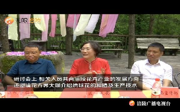 “绣球花开·情起涪陵”绣球花研讨会举行