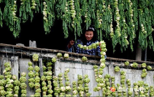 榨菜究竟怎样才好吃？今晚涪陵区副区长直播告诉你