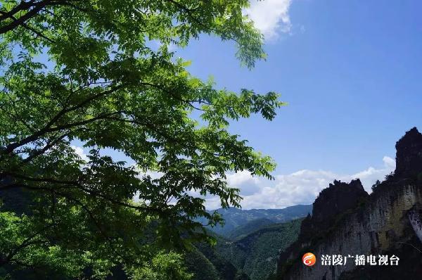关于“武陵山旅游区2020年度最美休闲避暑农家乐”评选结果公示