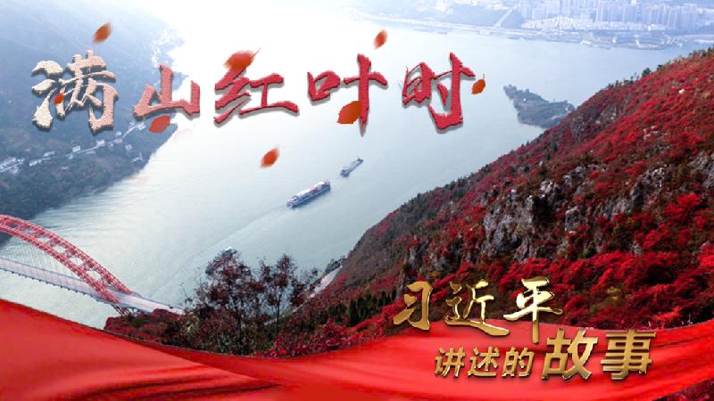 这片红叶，很不寻常！