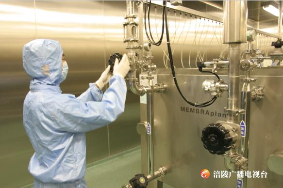 【涪陵区网络媒体进民企】华兰生物：造“血”，救命！