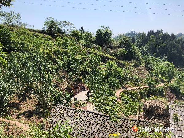 珍溪镇：产业扶贫拓宽贫困户“致富之路”