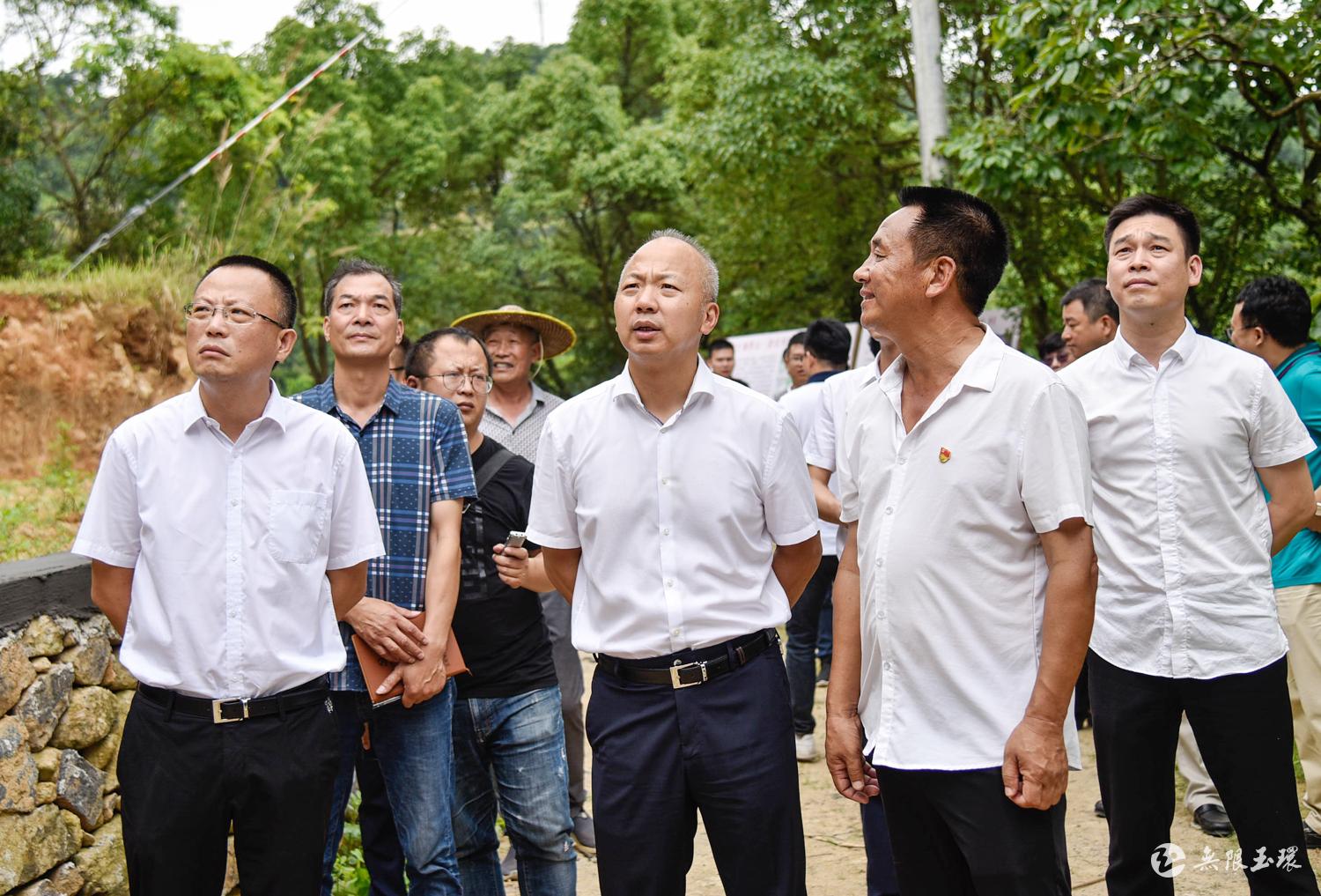 吴才平督查全域土地综合整治:奋战100天,推动美丽建设更上新层次