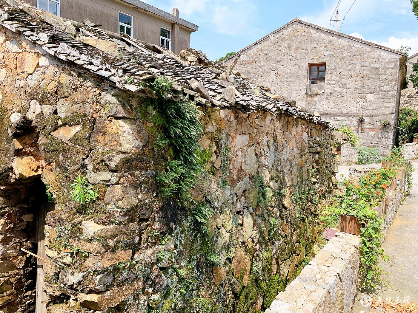 美丽乡村丨炮台村风景每日变幻中