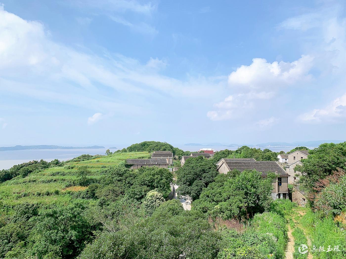 美丽乡村丨炮台村风景每日变幻中