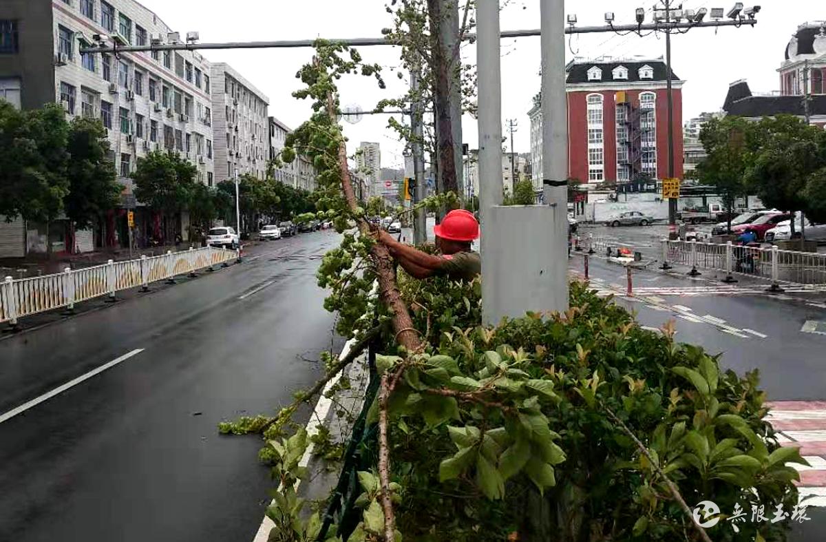 风雨同舟丨乡镇街道灾后自救篇