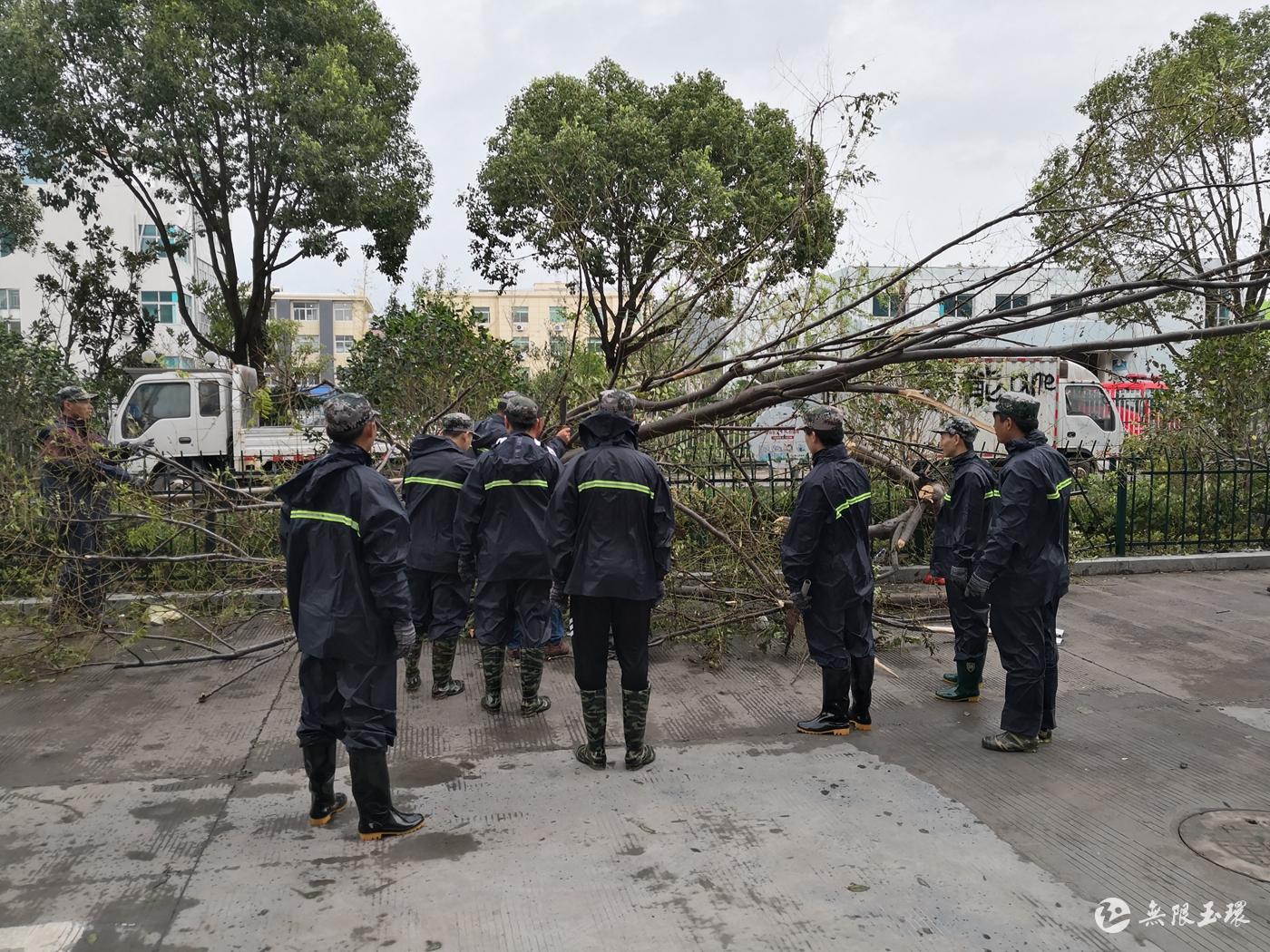 风雨同舟丨乡镇街道灾后自救篇